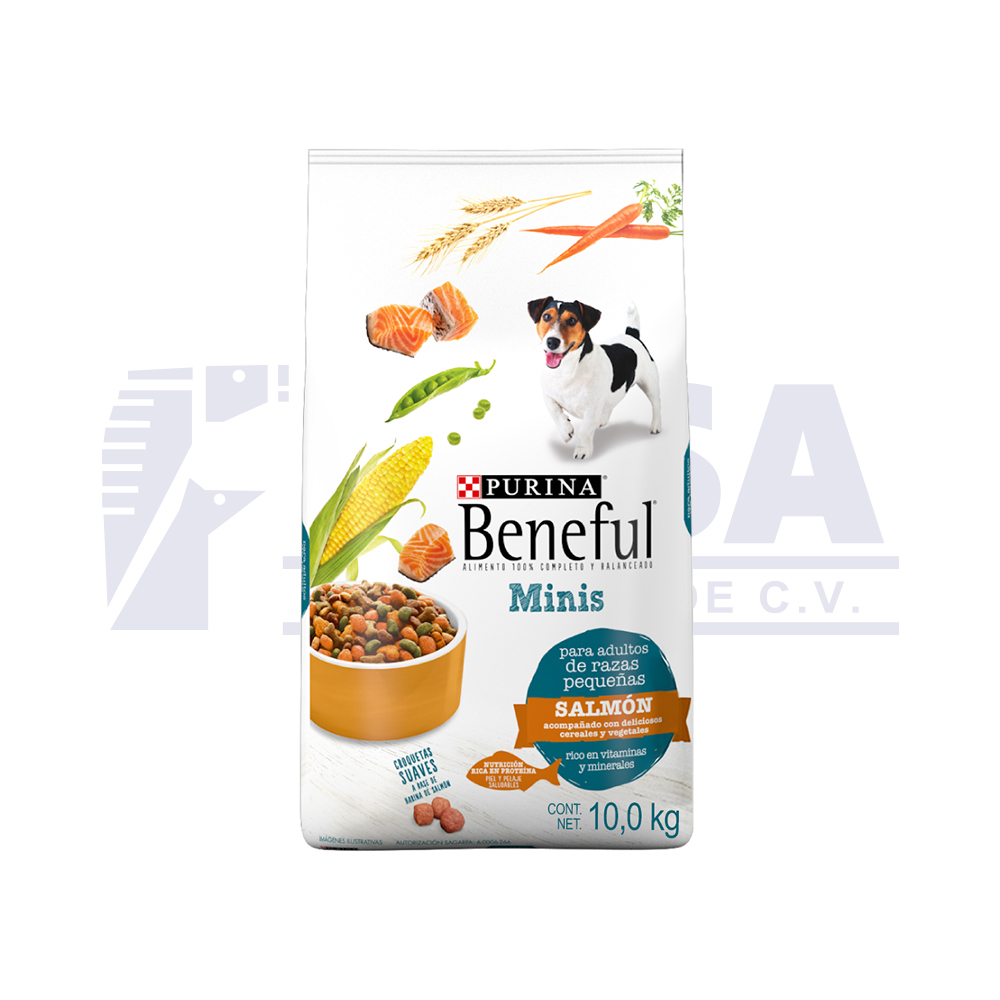 Beneful clearance 10 kg