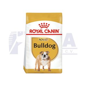 Bulldog Inglés Adulto