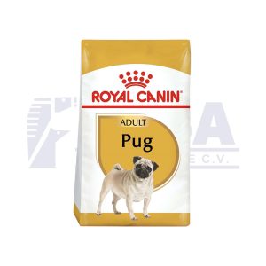 Pug Adulto