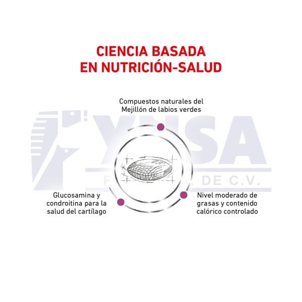 Advanced Mobility Support Dog