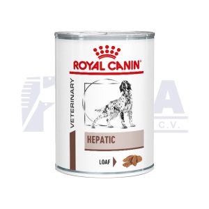 Lata Hepatic Dog