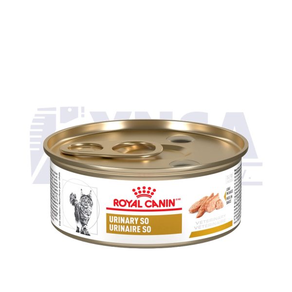 Royal canin urinary 2024 so feline canned