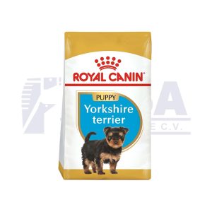 Yorkshire Terrier Cachorro