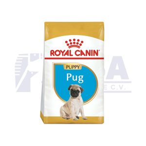 Pug Cachorro