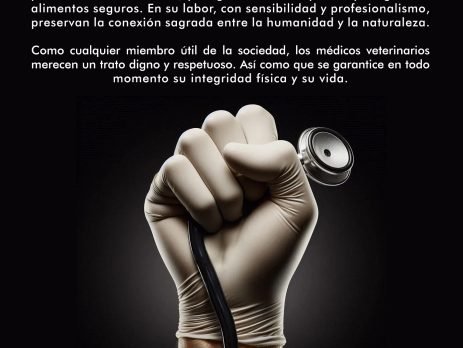 Ni un veterinario menos