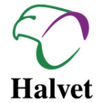 Halvet