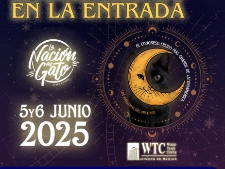 LA NACIÓN DEL GATO 2025