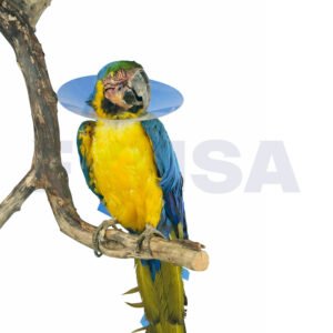 Collares para aves BUSTER