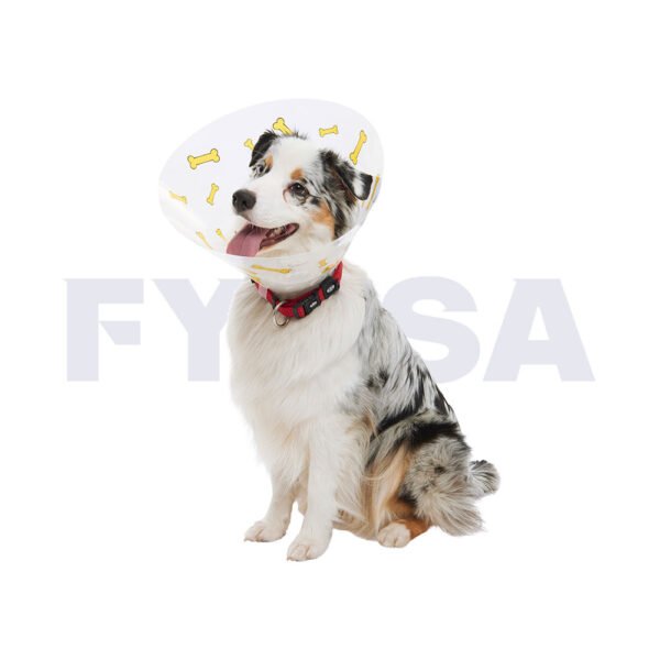 Collar isabelino BUSTER con huesos