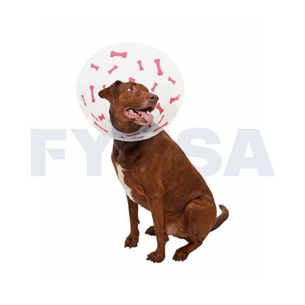 Collar isabelino BUSTER con huesos