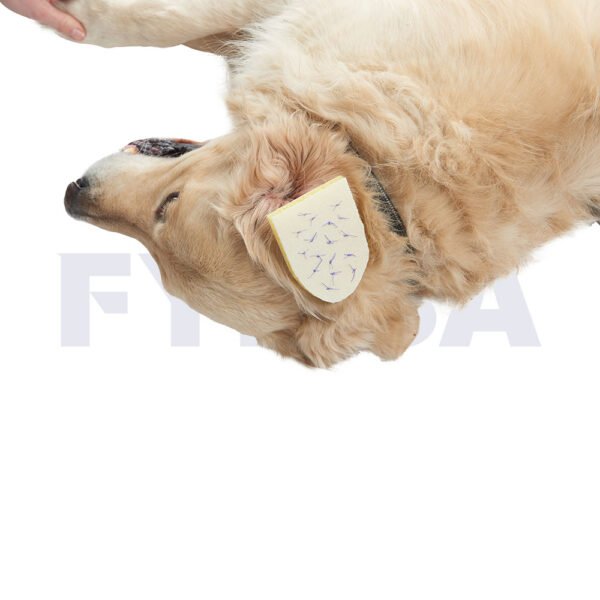 Compresa para otohematomas BUSTER