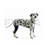 Protector para rehabilitación de rodilla derecha