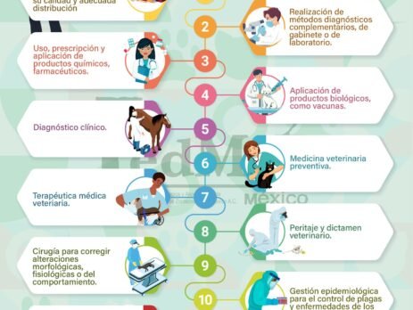 Actividades exclusivas MVZ