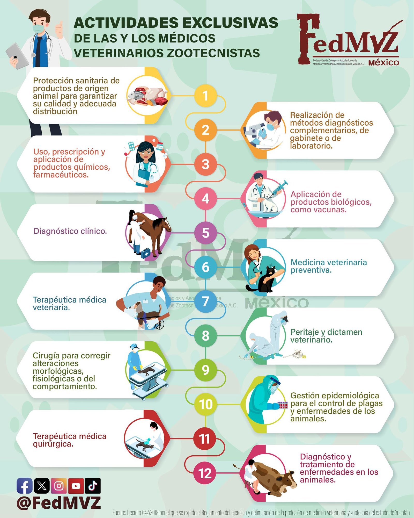 Actividades exclusivas MVZ