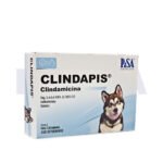 CLINDAPIS