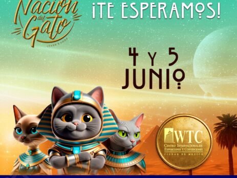 La Nación del Gato