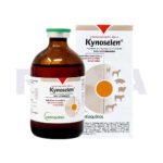 Kynoselen
