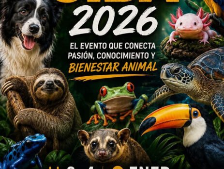 Expo CIBA 2026