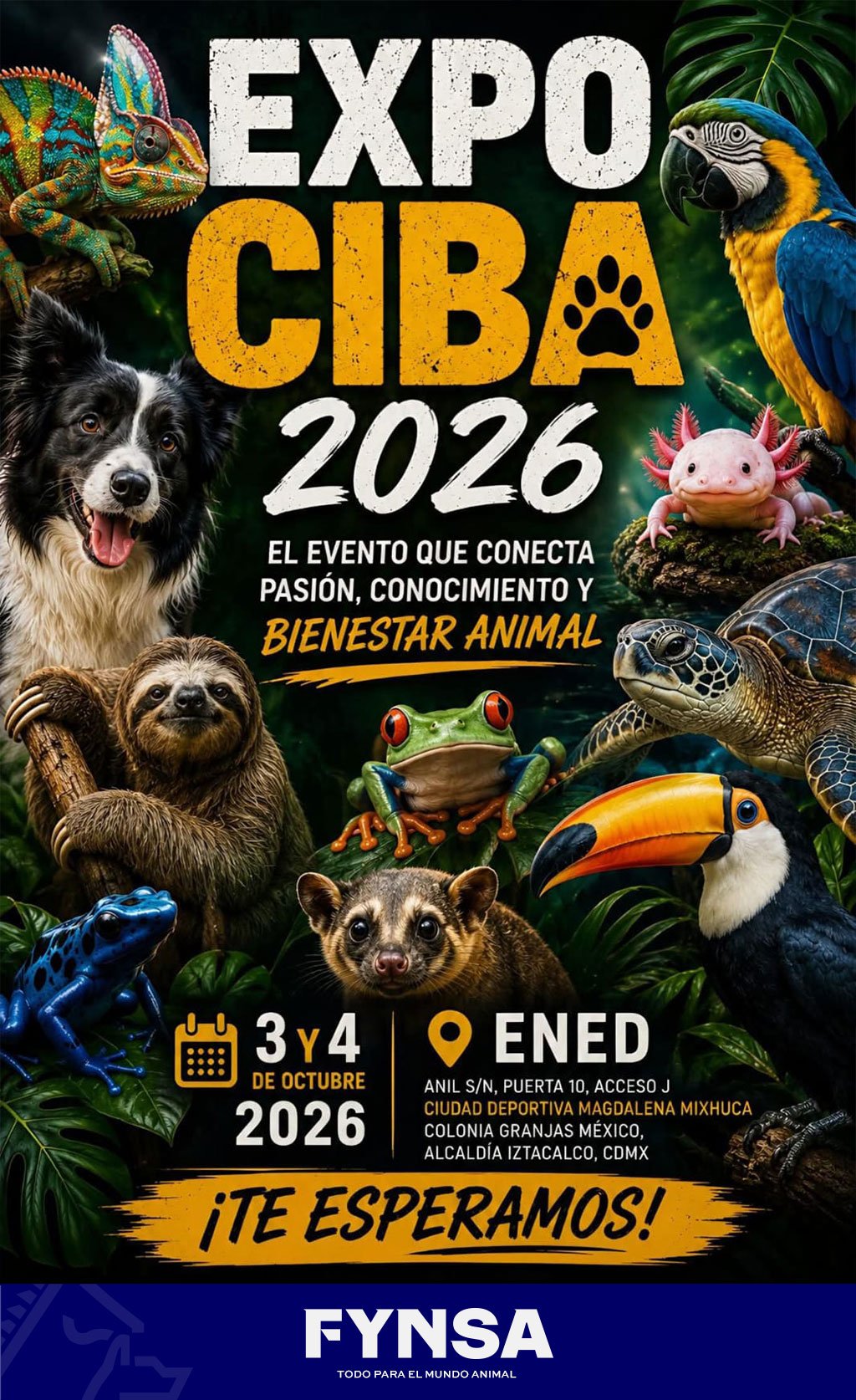 Expo CIBA 2026